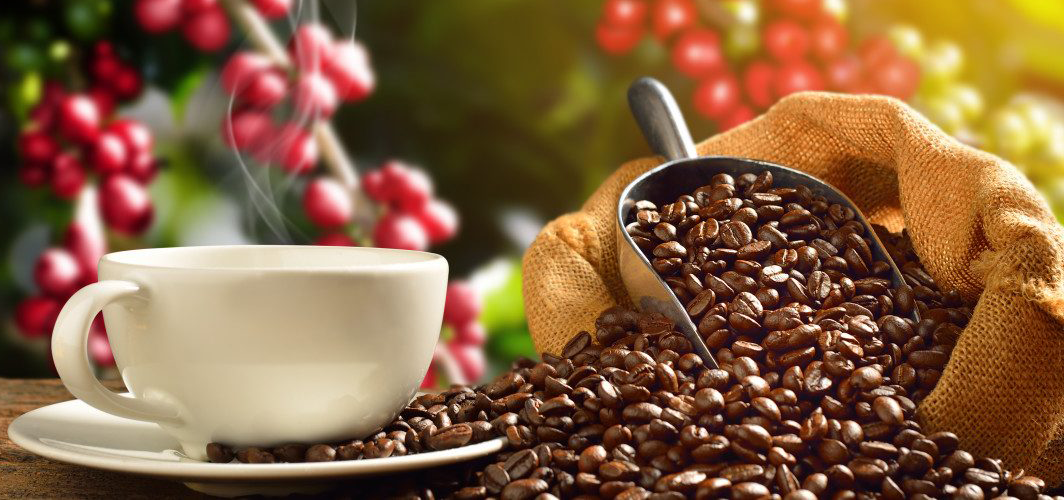 Café, café de grano y café italiano
